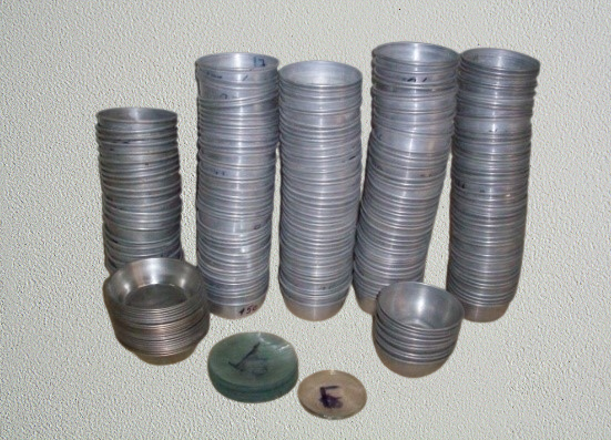 Experiment to Determine the Bulk Density of Samples and Moisture Content